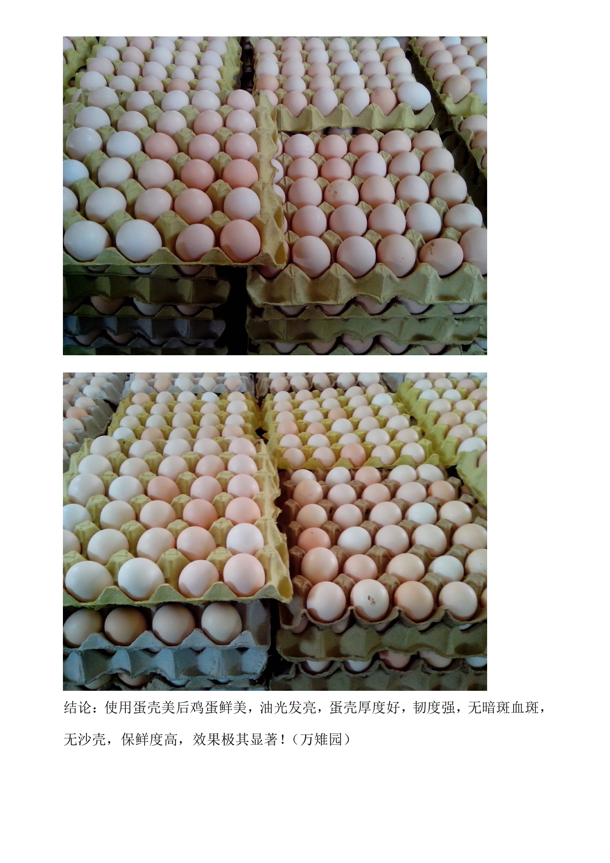 太阳集团tyc539(股份)有限公司官网