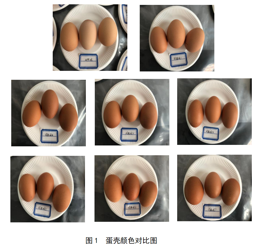 太阳集团tyc539(股份)有限公司官网
