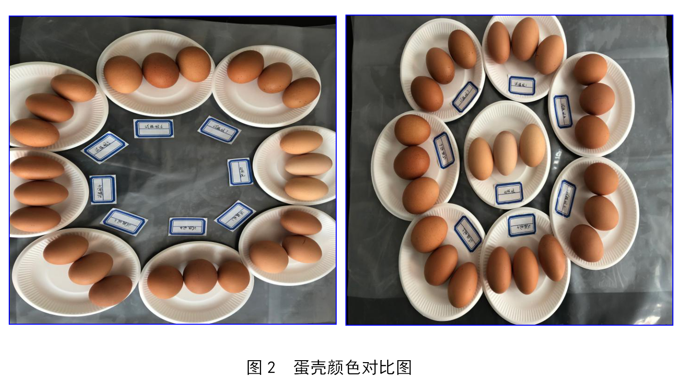 太阳集团tyc539(股份)有限公司官网