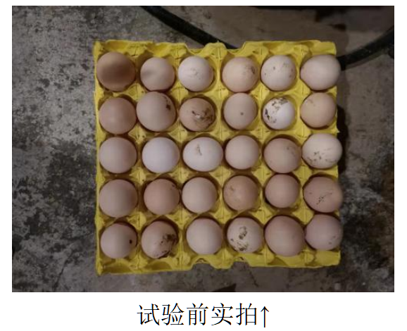 太阳集团tyc539(股份)有限公司官网