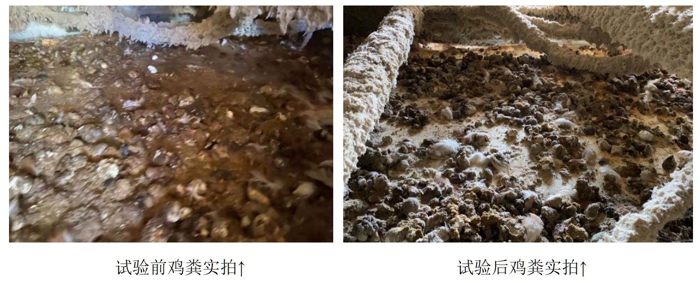 太阳集团tyc539(股份)有限公司官网
