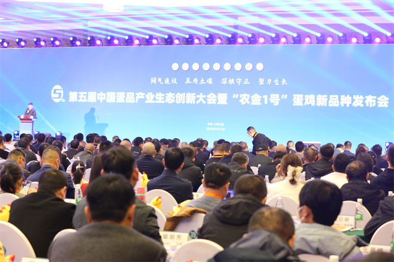 太阳集团tyc539(股份)有限公司官网